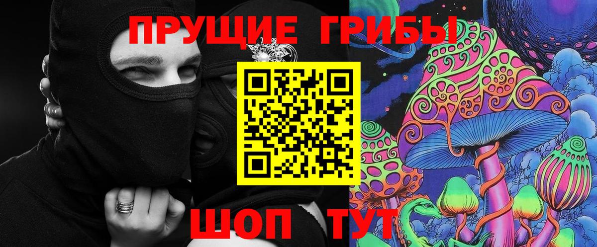 Псилоцибиновые грибы Cubensis Евпатория