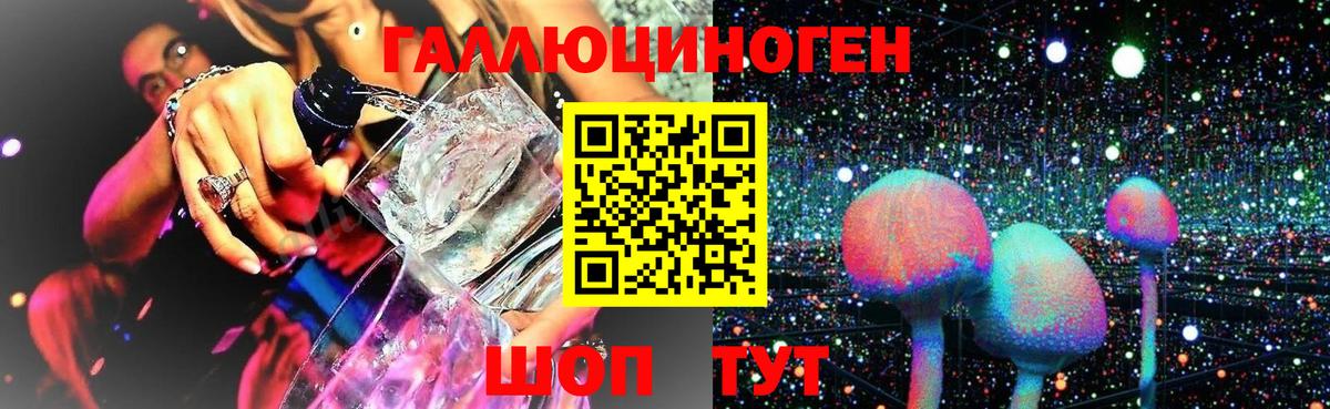 Псилоцибиновые грибы Psilocybine cubensis  Вход с VPN  наркотики  Евпатория 